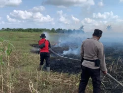 BPBD Catat Ada 6 Kejadian Karhutla di Seruyan