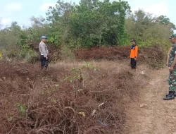 BPBD dan Tim Gabungan Terus Gencarkan Patroli Rawan Karhutla