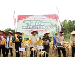 Pacu Produktivitas Sektor Pertanian Lokal di Barito Utara Melalui Penen Jagung Serentak 